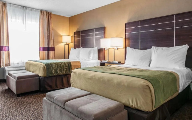 Comfort Inn