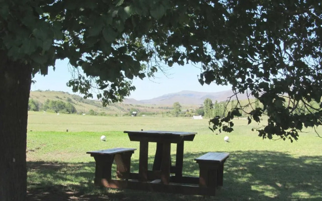 The Old Orchard