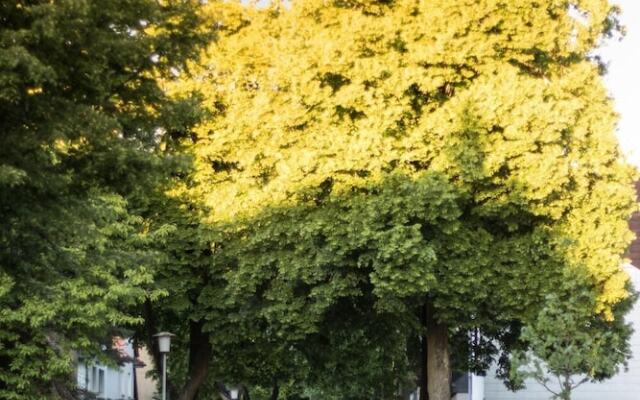 Отель Alscher Германия, Леверкузен - отзывы, цены и фото номеров - забронировать отель Alscher онлайн парковка