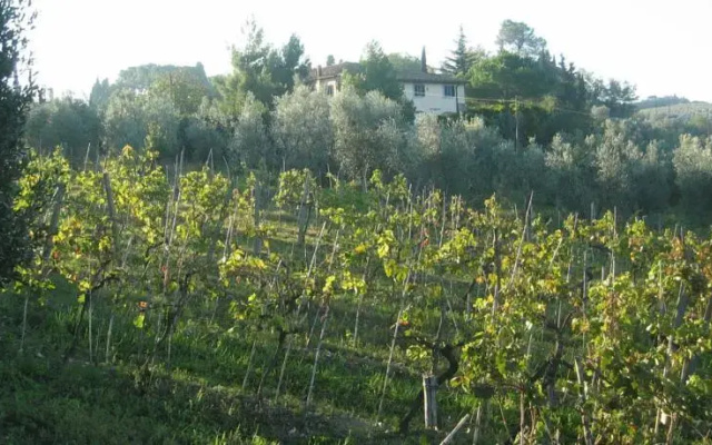 Chianti House