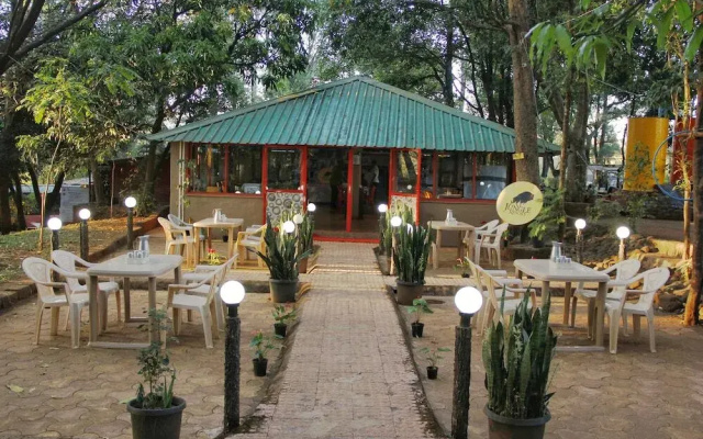 The Jungle Resort
