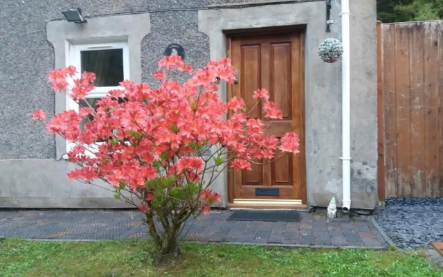 Llugwy Cottage