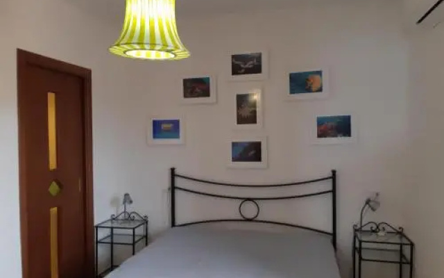 Campese Apartments