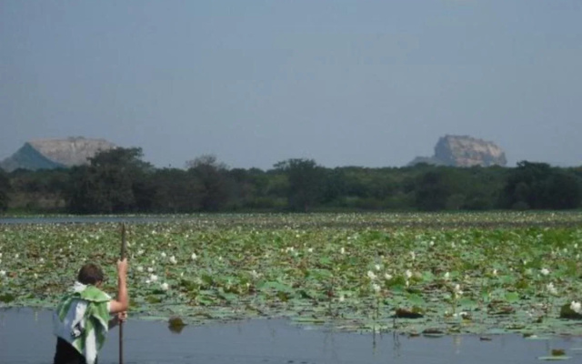 Thick forest sigiriya