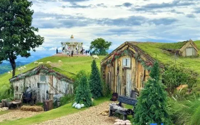 SkyVille cafe&homestay