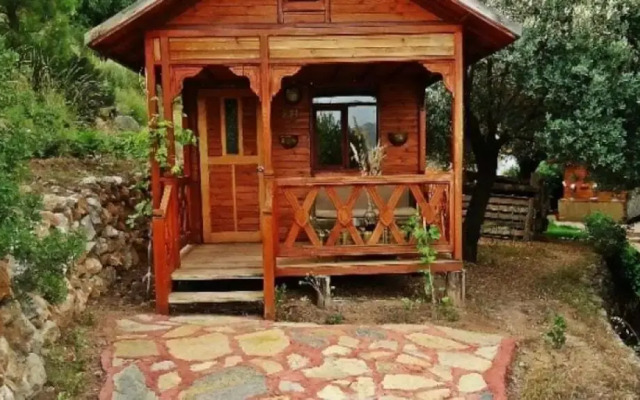 Shambala Lodge Hotel