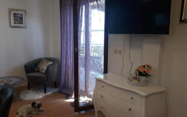Apartments Anita