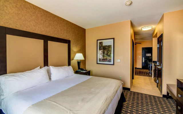 Holiday Inn Arlington NE-Rangers Ballpark by IHG
