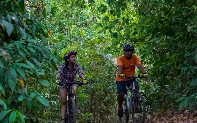Villa Sari Bumi Menjangan