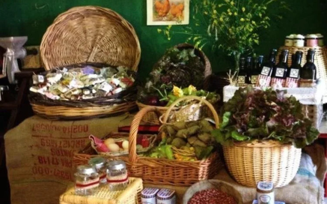 Fattoria dellOrto degli Ulivi