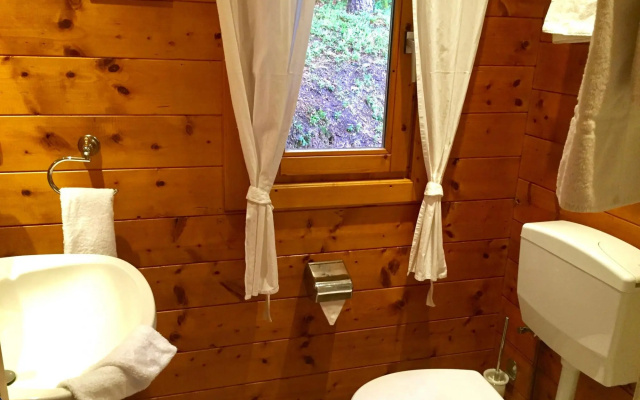 Chalet Near Bitche With Private Sauna