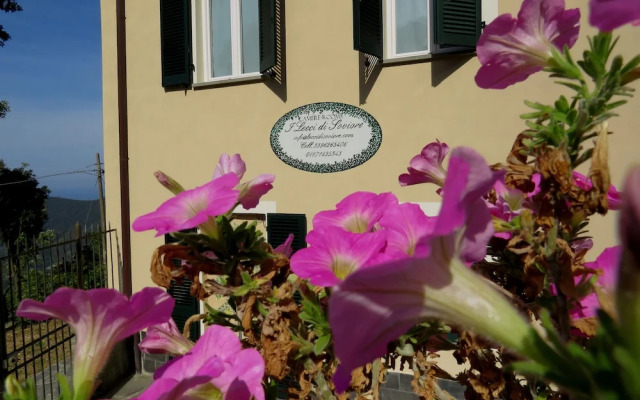 Lecci Di Soviore