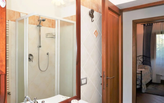 Cedri Alti 10372