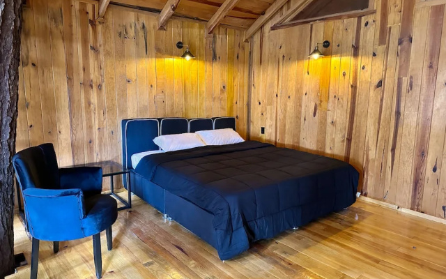 PINE TREE Hotel Boutique & Cabañas