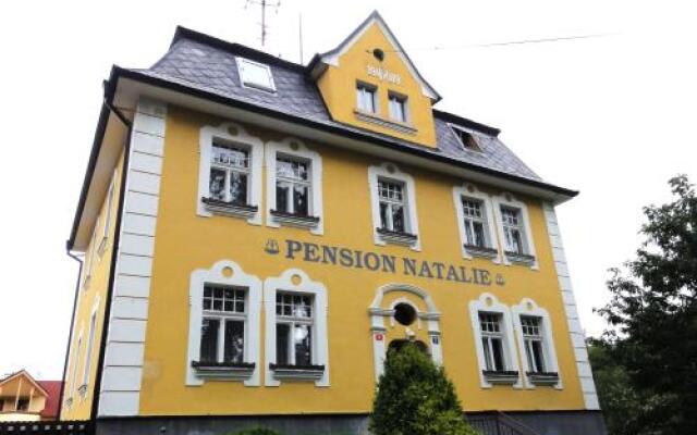 Отель Penzion Natalie Чехия, Франтишкови-Лазне - отзывы, цены и фото номеров - забронировать отель Penzion Natalie онлайн вид на фасад