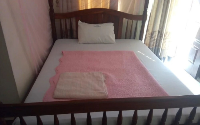 New Lions Hotel