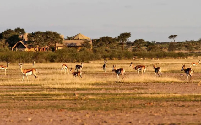 Intu Africa-Camelthorn Kalahari Lodge