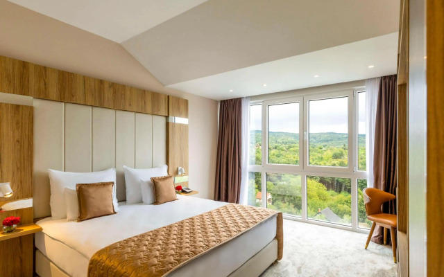 Mövenpick Resort and Spa Fruske Terme