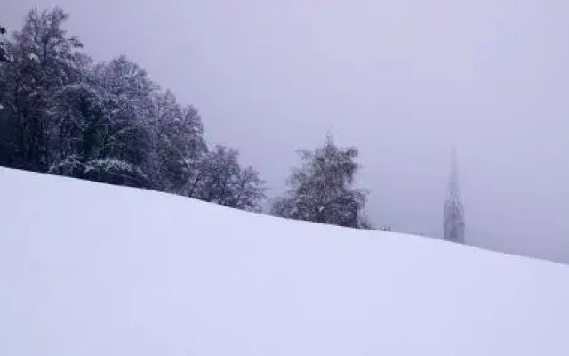 Vintlerhof