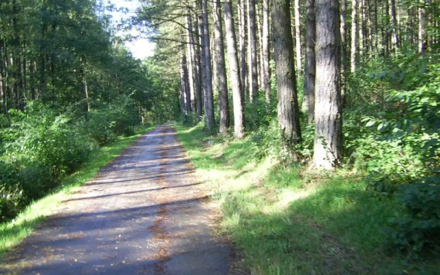 Bosbeekvallei