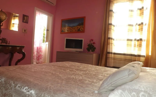 Dragonfly Rooms