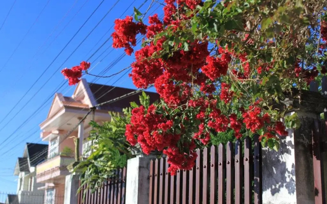 Co Lien Homestay Dalat