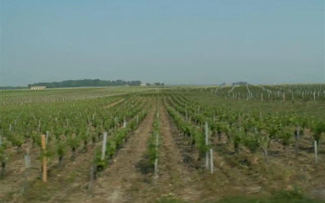 Au Coeur du Médoc