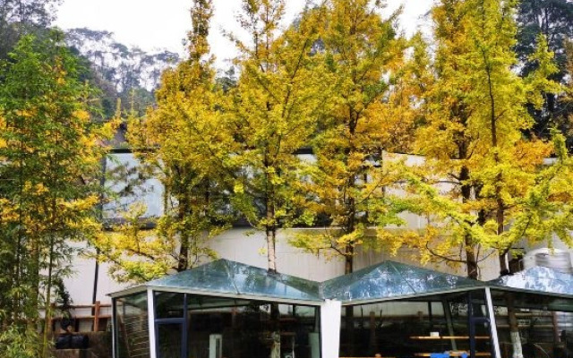Geyuan Hostel