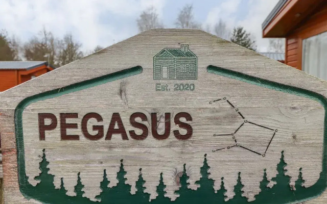 Pegasus