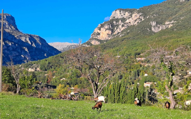 La Maison du Paysan - Locations-06