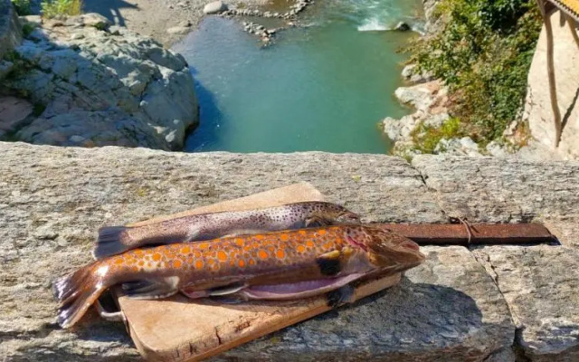 River And Mounts