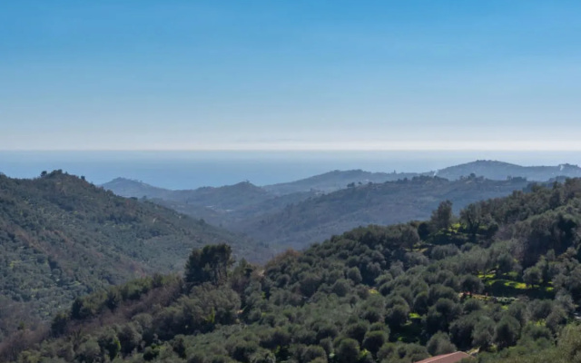 Apartment Giallo Vasia