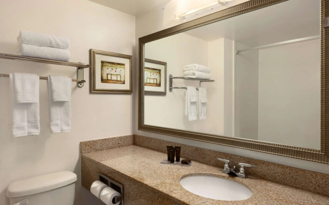 Wingate by Wyndham - Montgomery