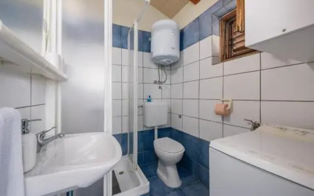 Apartment with pool Visnjan