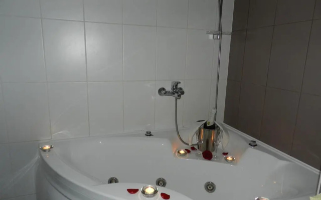Hotel Metsis