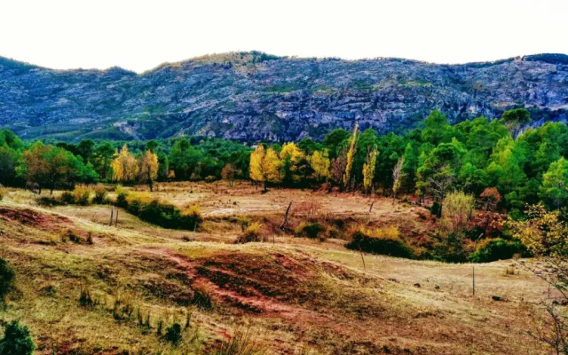 Fuente del Ciervo 1