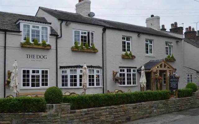 The Dog in Over Peover