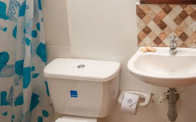 Hostal Apapachoa - Hostel