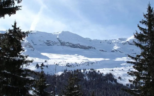 Appartement Flaine, 2 pièces, 5 personnes - FR-1-425-173