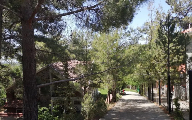 Villa Enriette - Panoramic Mountain Retreat in Pano Platres, Cyprus
