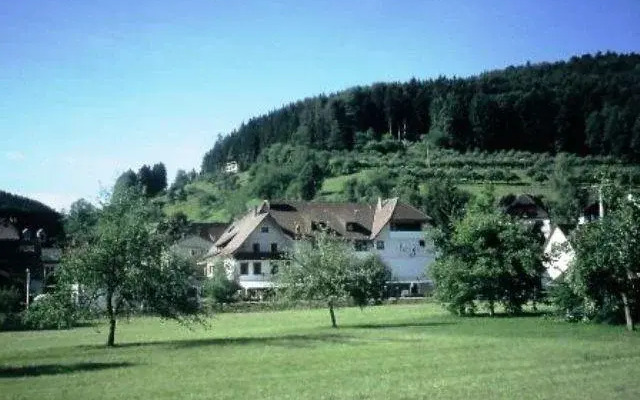 Schweizer Hotel an der Glatt