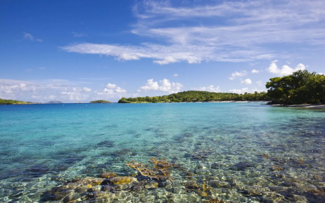 Caneel Bay