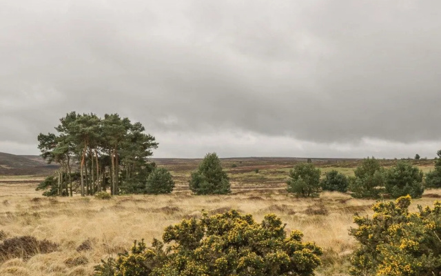 The Calf House