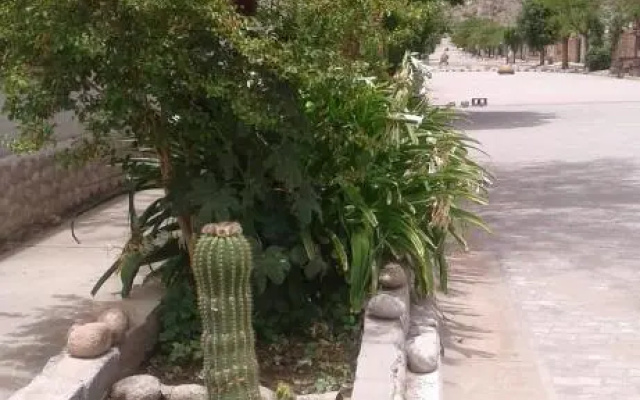 Cardones de Molinos