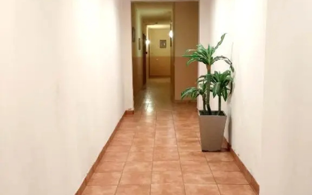 Nefama Pensao