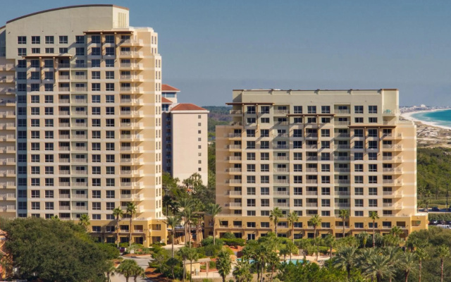 Luau II 6231