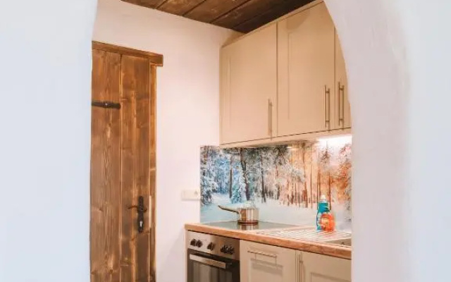 Apartment WILKY in Kaprun