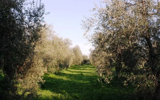 Agriturismo Vigna Mai