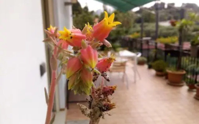 Casa Vacanze Terme
