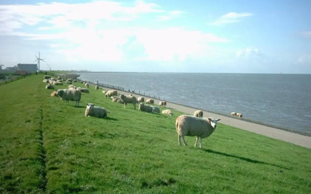 Holiday Home Near Wadden Sea & Elfsteden Path